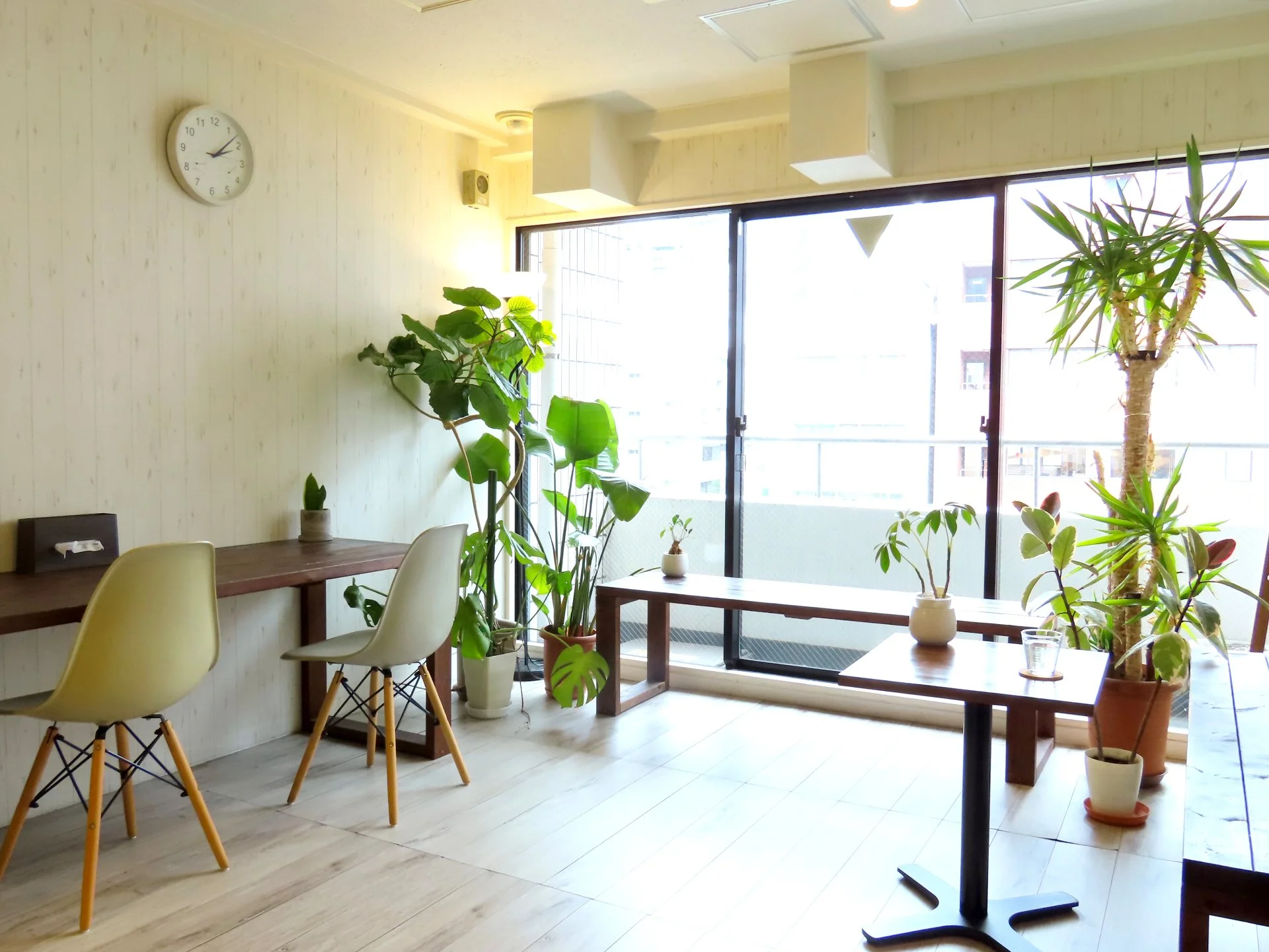 観葉植物のある個室で施術ベッドに横たわり肩まわりの施術を受ける女性